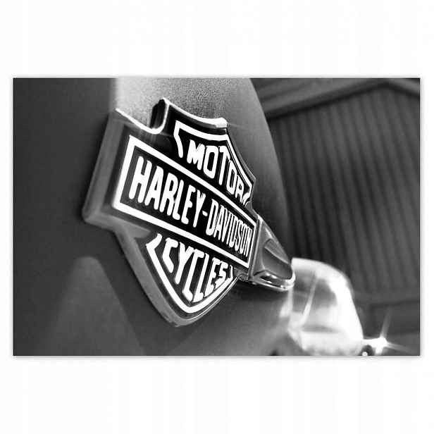 Fototapety 152x104 Logo Harley Davidson