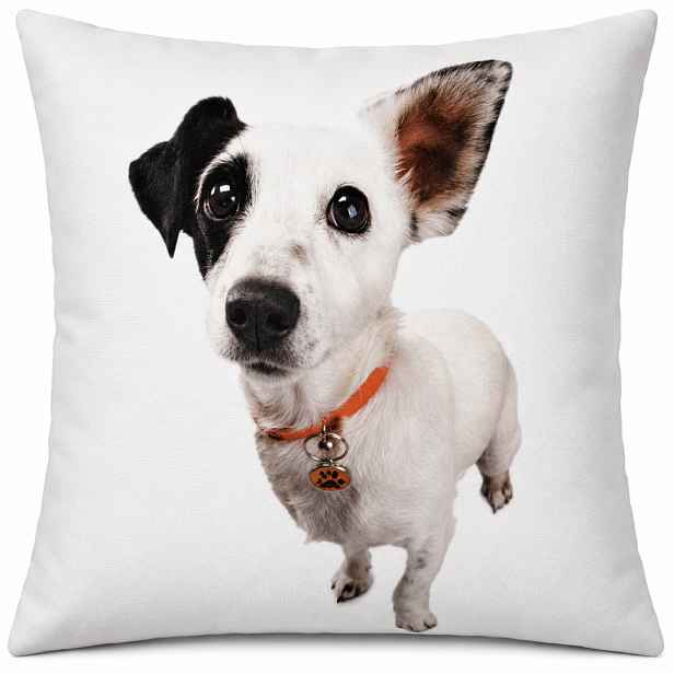 Povlak na polštář PETS DOG 40x40 cm motiv A