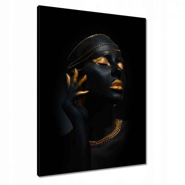 Obrazy 60x80 Zlatá aparace
