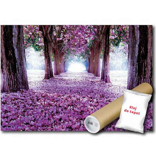 Vinylová fototapeta Květiny alej stromů 152x104