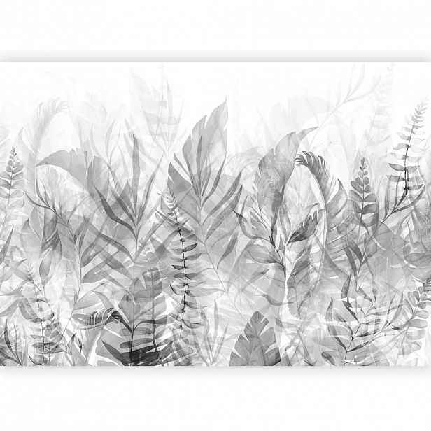 artgeist FOTOTAPETA velikost: 250/175 cm