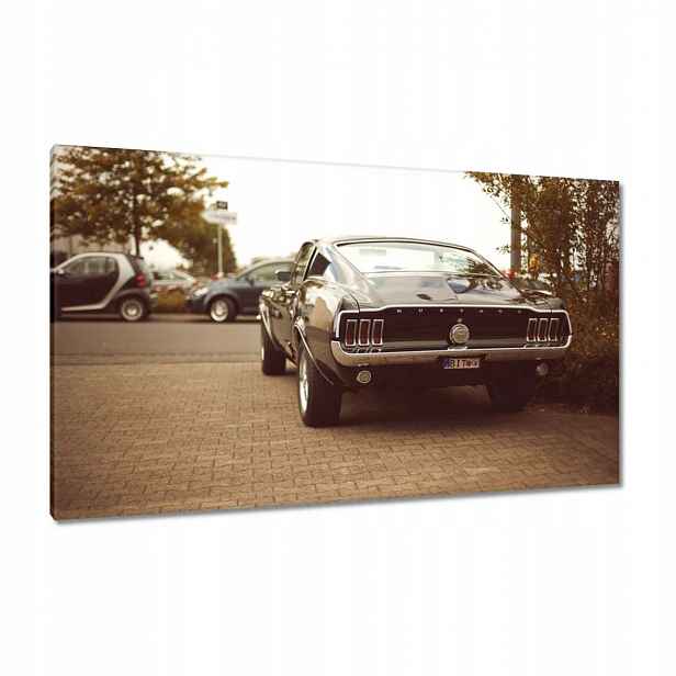 Obrázky 120x70 Ford Mustang Černobílé
