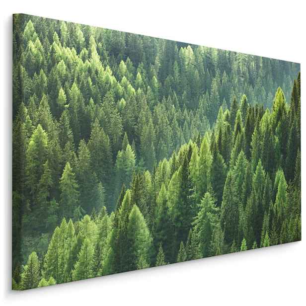 Plátno Zelený Jehličnatý Les Varianta: 40x30