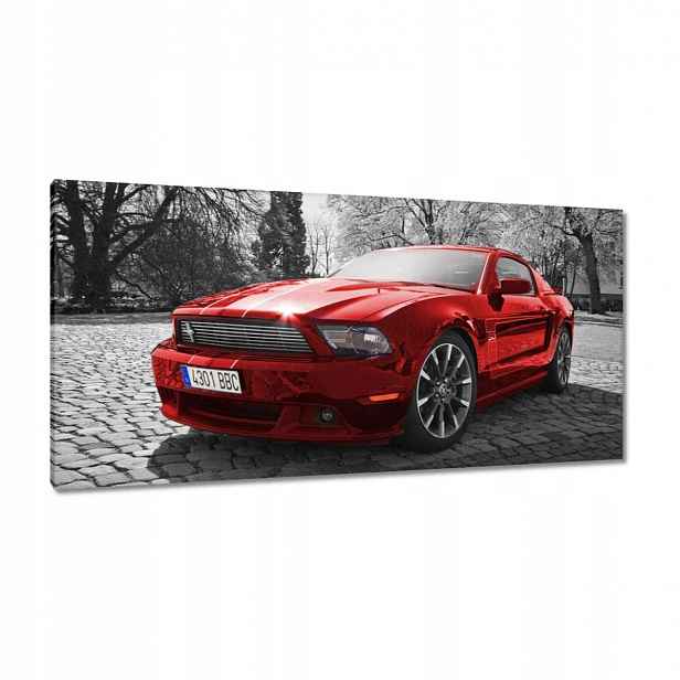Obrazy 115x55 Červený Mustang