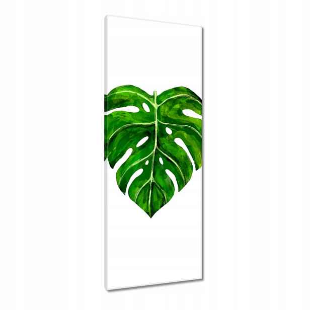 Obrazy 40x100 Moderní motiv listů