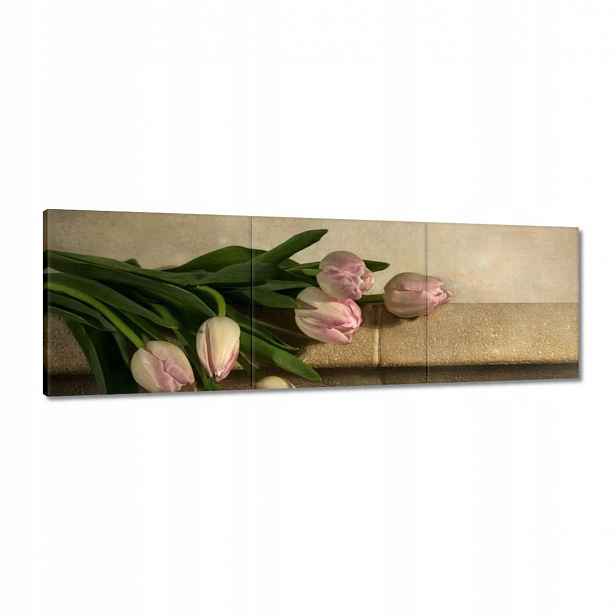 Obrazy 120x40 Kytice růžových tulipánů