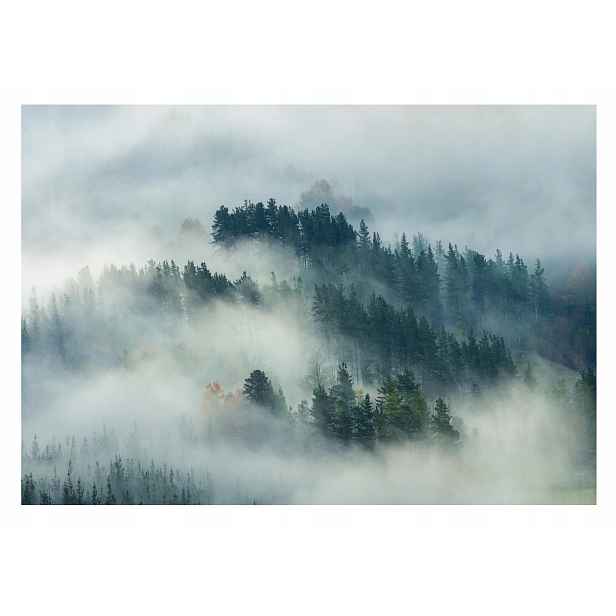 Fototapeta Les V Mlze Hory Krajina Gósky Mlhavý Les Pohled 368x254