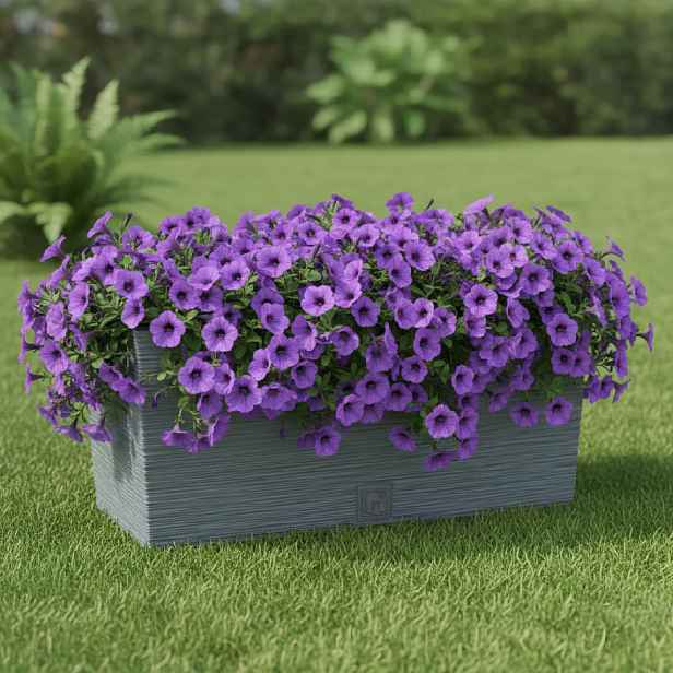 ProsperPlast Květináč FURU CASE | beton 39,5 cm