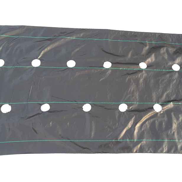 Agrotextilie 80 cm x 20 m, rozteč otvorů 20 x 20 cm