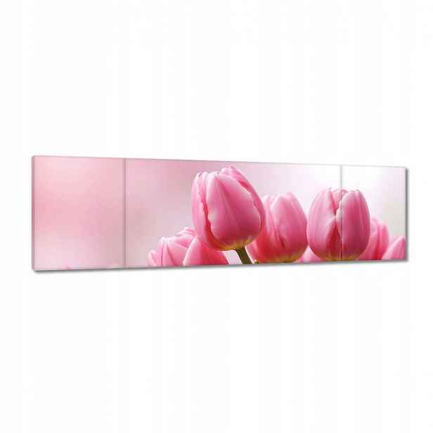 Obrazy 170x50 Růžové tulipány