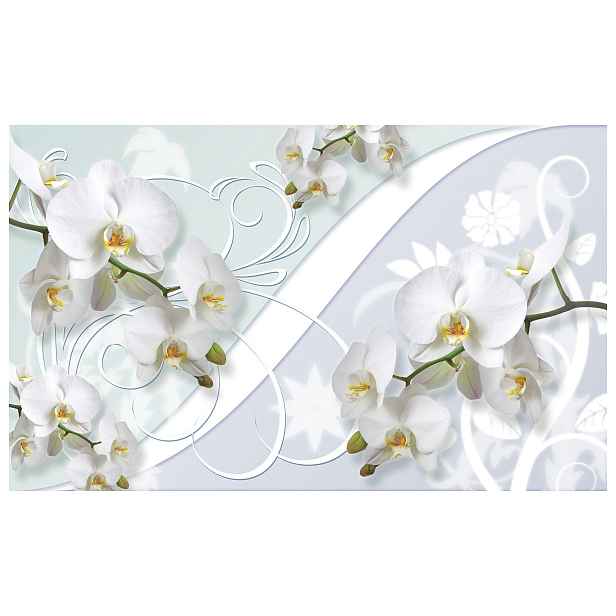 Fototapeta Bílé orchideje jemnost a elegance do domu 200x140 lepidlo