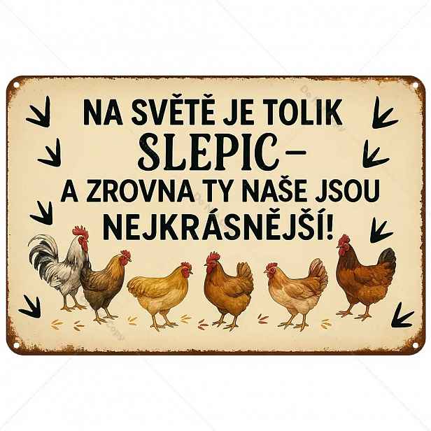TEMU 2D plochá - 20X30 cm 2D plochá vintage kovová cedulka s českým sloganem - rustikální nástěnné umění ve stylu s humornými ilustracemi kuřat,