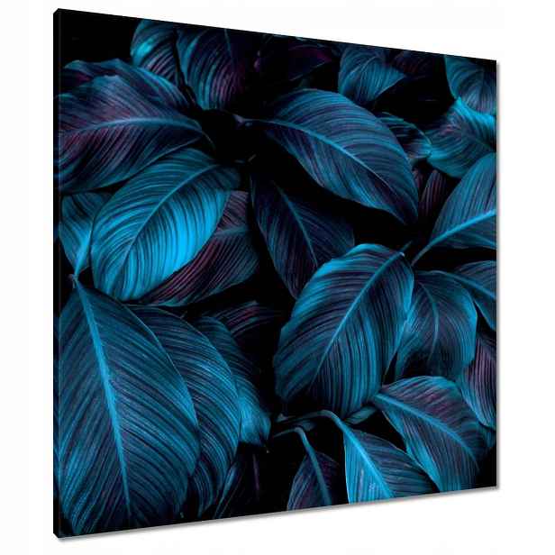 Obrazy 80x80 Krásné modré listy