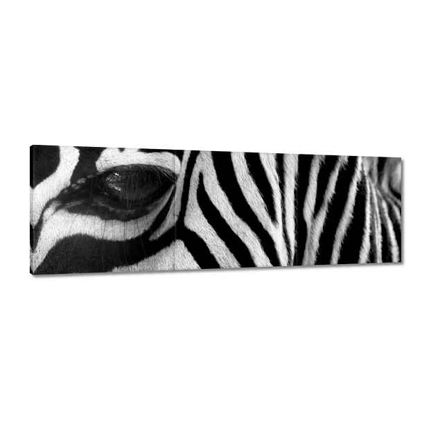 Obrazy 150x50 Černobílé pruhy Zebra
