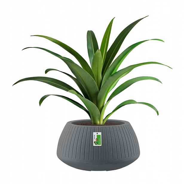 Květináč kulatý premium Ethick Coro Bowl TCB40 grafitový s odtokem