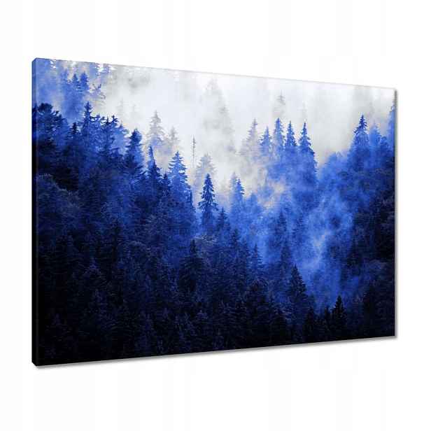 Obrazy 80x60 Modrá krajina Hory