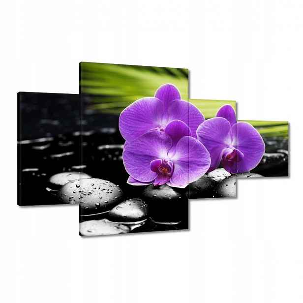 Obrazy 130x80 Fialové orchideje
