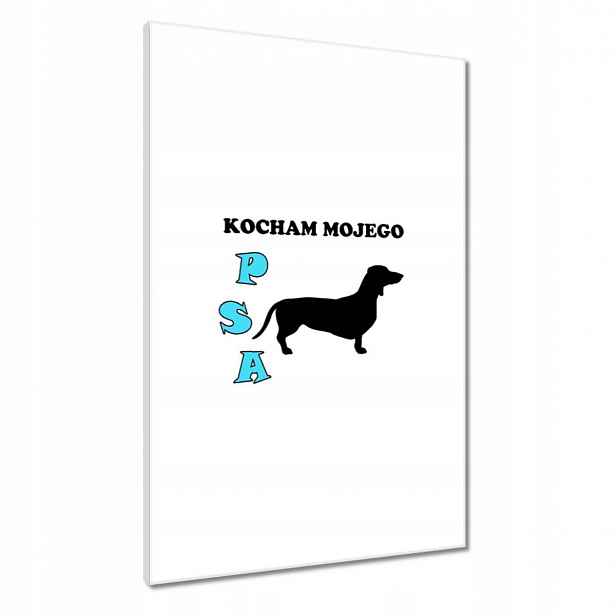Obrazy 60x90 Jezevčík