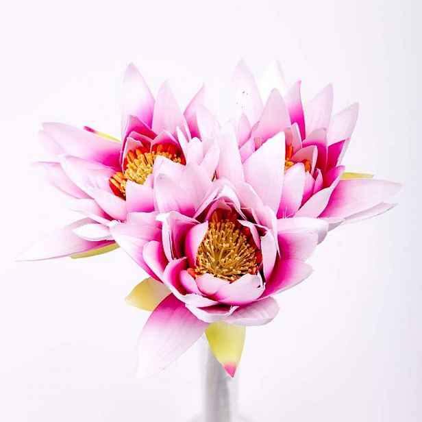 Lotus řezaný umělý růžový