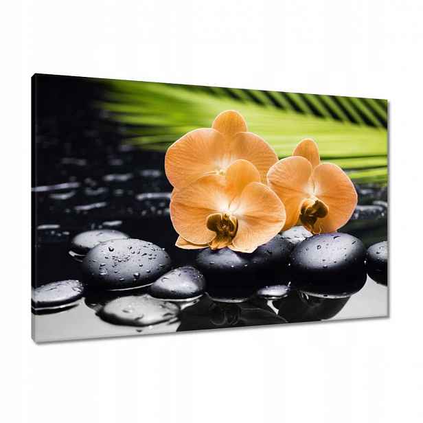 Obrazy 90x60 Oranžové orchideje