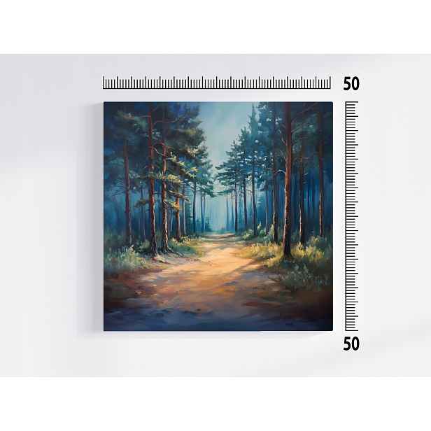 Obraz Na Plátně Canvas Krajina Příroda Les Stromy Borovice Cesta Stezka 50x50