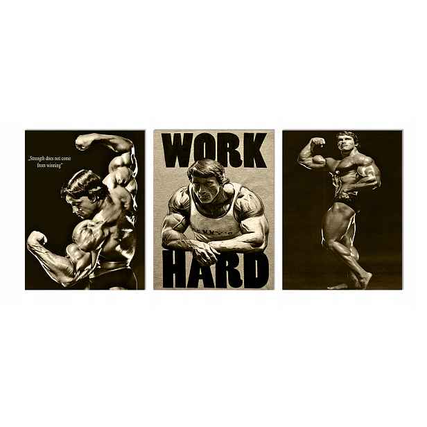 Obraz 3 ks Triptych Arnold Schwarzenegger kulturistická posilovna 70x150 cm