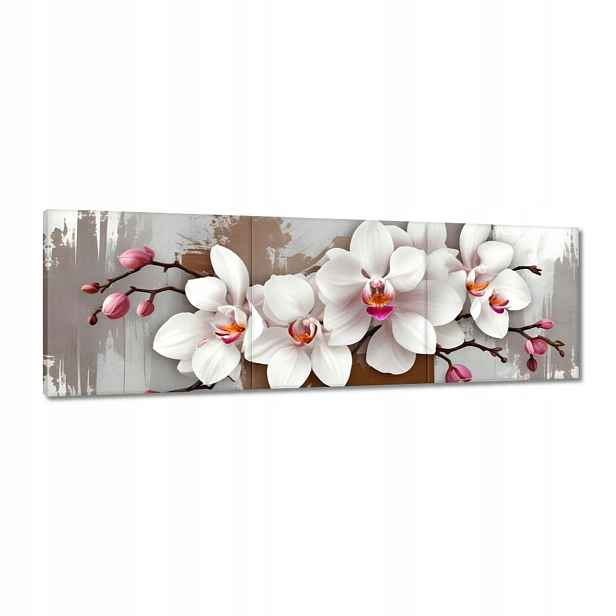 Obrazy 120x40 Bílá orchidej