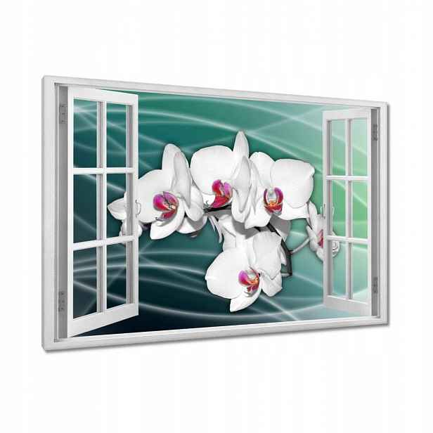 Obrazy 90x60 Orchideje květiny