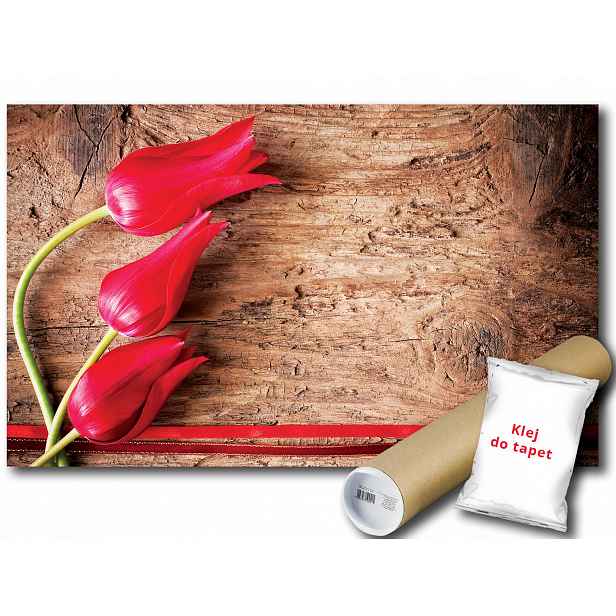 Fototapeta Tulipán Květina 9C V8 368x254 F272