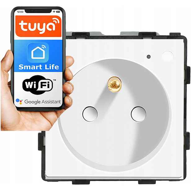 Modul Vložka Inteligentní Zásuvka S Kolíkem 230V Bílá WiFi 1F