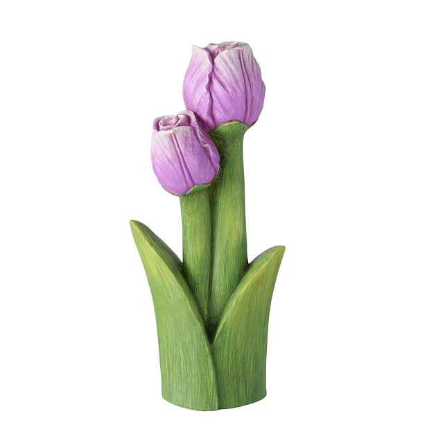 TULIPÁN