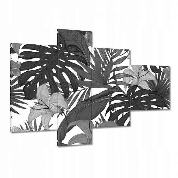 Obrazy 100x70 Černobílá monstera