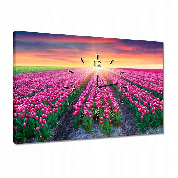 Hodiny 60x40 Moře tulipánů Květiny