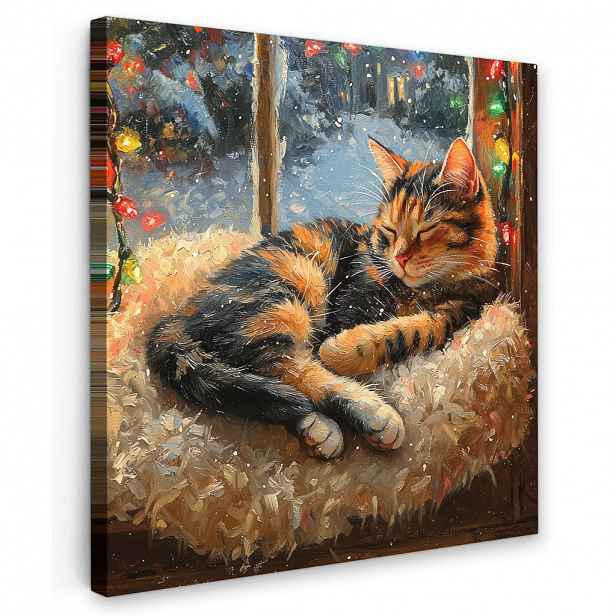 MuchoWow OBRAZ NA PLÁTNĚ Kočka - Vánoce - Zima - Zvíře 50x50 cm