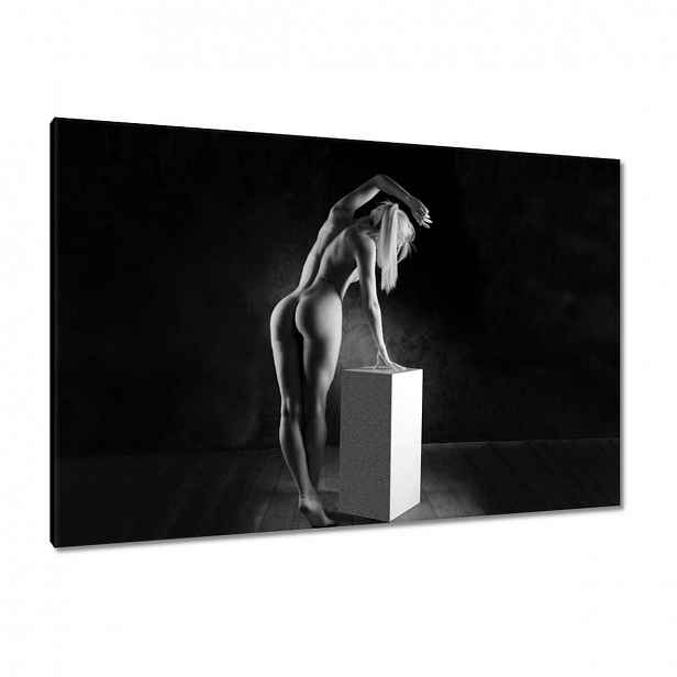 Obrazy 120x80 Žena Akt Černobílý