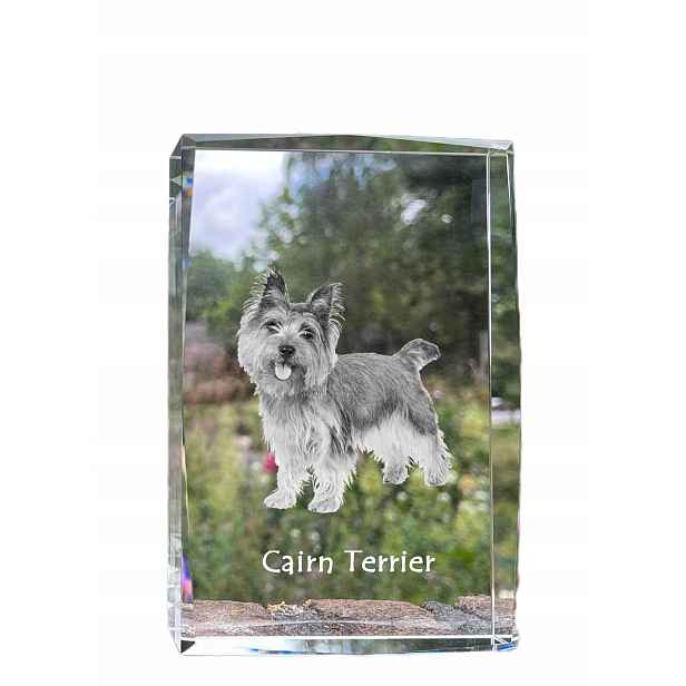 Cairn Terrier fotografie psa v krystalu, suvenýr, trofej, poděkování