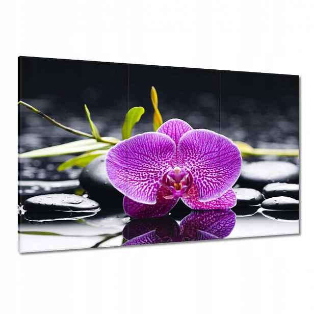 Obrazy 120x80 Fialová orchidej
