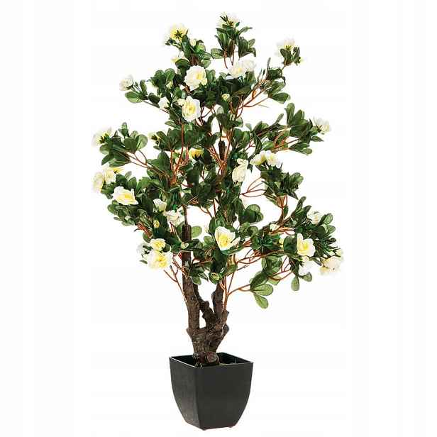 Umělá rostlina Azalia, barva bílá, 81 cm