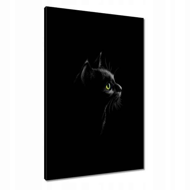 Obrazy 60x90 Černá kočička