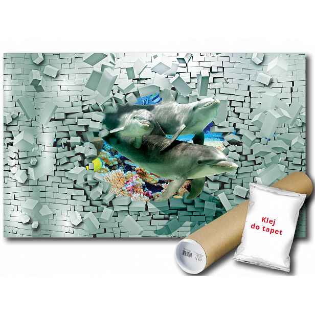 Fototapeta Delfíni 3D 12C V8 368x254 F3447