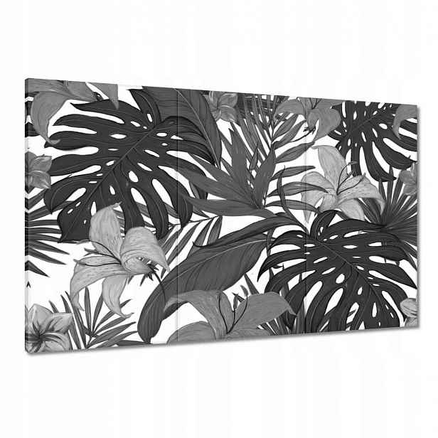 Obrazy 120x80 Černobílá monstera