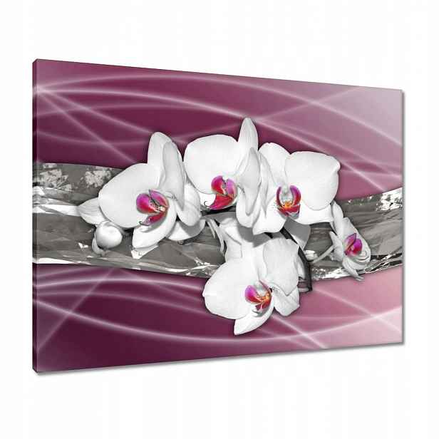 Obrazy 80x60 Bílé orchideje na růžovém pozadí