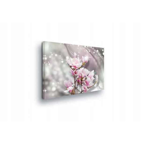 Obraz 80x60 Magnolie květy růžová bílá jaro jemnost elegance