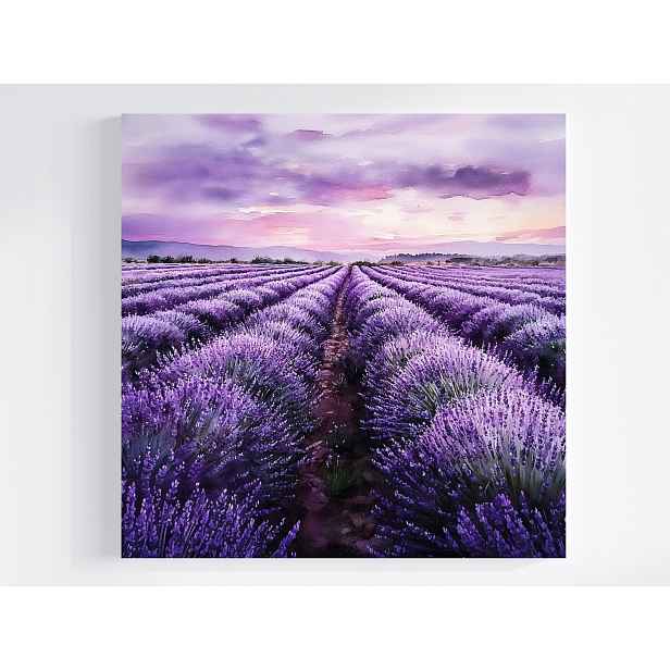 Obraz Na Plátně Canvas Krajina Pole Plantáž Květiny Levandule Fialová 60x60