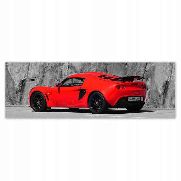 Plakáty 200x66 Červený Lotus