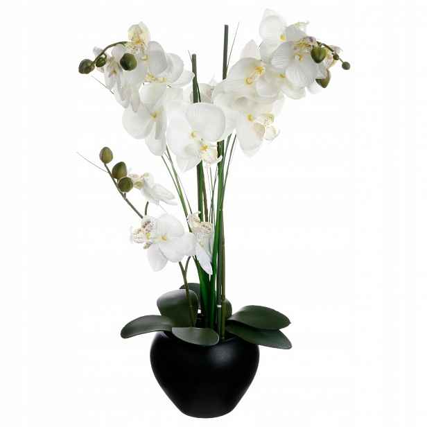 Orchidej Umělá Orchidej Velké Bílé Květy 50 cm