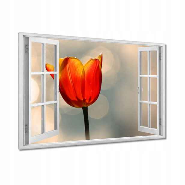 Obrazy 90x60 Oranžový tulipán