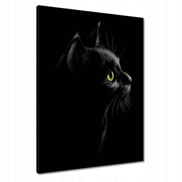 Obrazy 60x80 Černá kočička