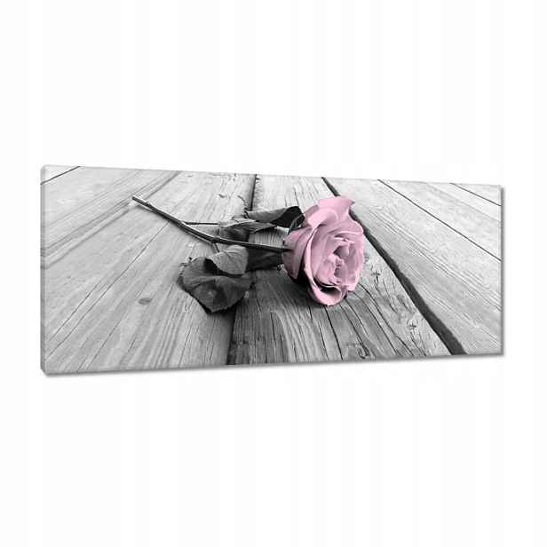 Obrazy 100x40 Pudrová růžová Old pink Rose