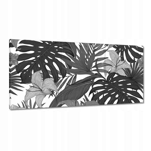 Obrazy 180x90 Černobílá monstera
